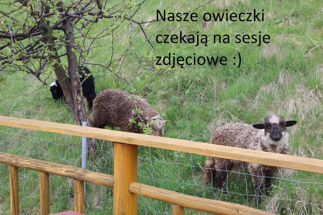 Domki Pod Zielonym Wierchem Zakopane Luaran gambar